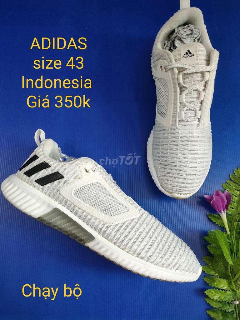 Adidas size 43 xuất xứ Indonesia ship cod toàn qc