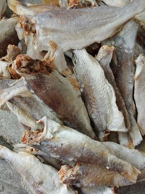 1kg khô cá đù. Mua bán Đồ ăn, thực phẩm và các loại khác tại Huyện Củ Chi Tp Hồ Chí Minh được đăng bởi SHOP CO TIEN