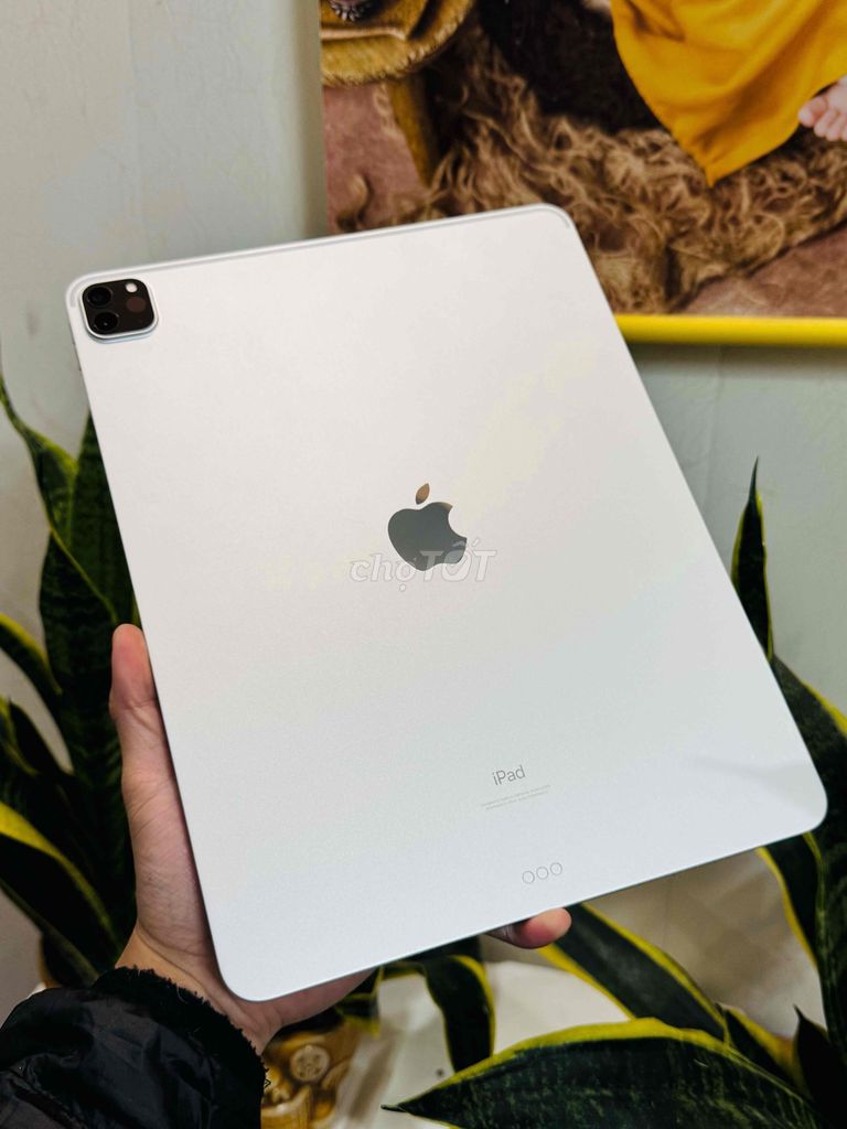 ipad pro 12.9" m1 silver 128 wifi sạc ít chất