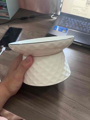Bát ăn cho mèo gốm sứ Trắng