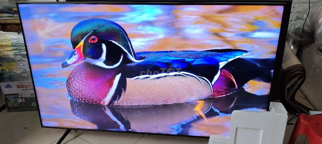 Samsung Qled 55 inch - T12/ 2022. Mua bán Tivi, Âm thanh tại Quận Hai Bà Trưng Hà Nội được đăng bởi Mr Hung hình 1