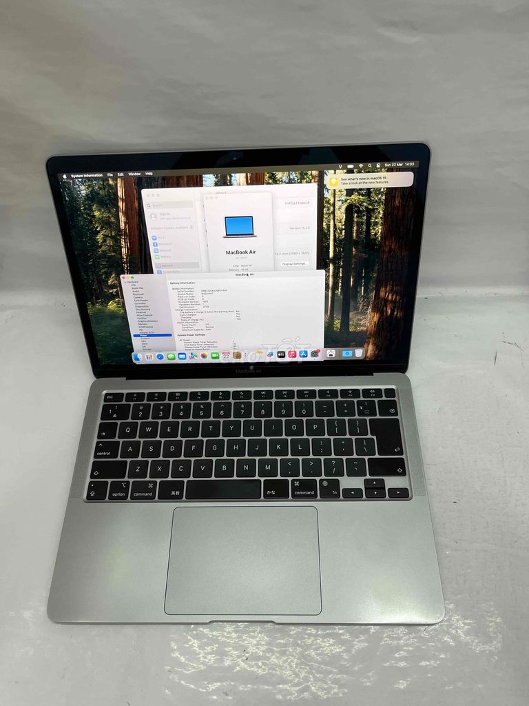 Apple MacBook Air M1 13 inch 16GB/256GB. Mua bán Laptop tại Quận Sơn Trà Đà Nẵng được đăng bởi BƠ BƯ Macbook Cũ hình 1