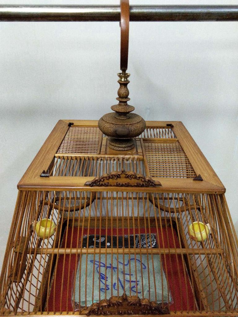 Sin Đấu Nan Khít . Mua bán Phụ kiện, Thức ăn, Dịch vụ tại Quận 11 Tp Hồ Chí Minh được đăng bởi a cường  hình 1