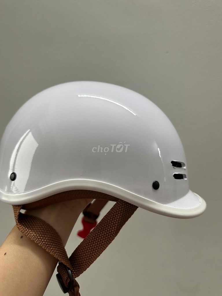 Nón báo hiểm cá heo