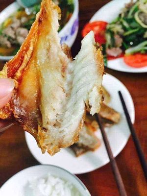 Khô cá đù 1 nắng Cần Giờ 18-22 con/kg. Mua bán Đồ ăn, thực phẩm và các loại khác tại Quận Tân Phú Tp Hồ Chí Minh được đăng bởi Nguyễn Trang