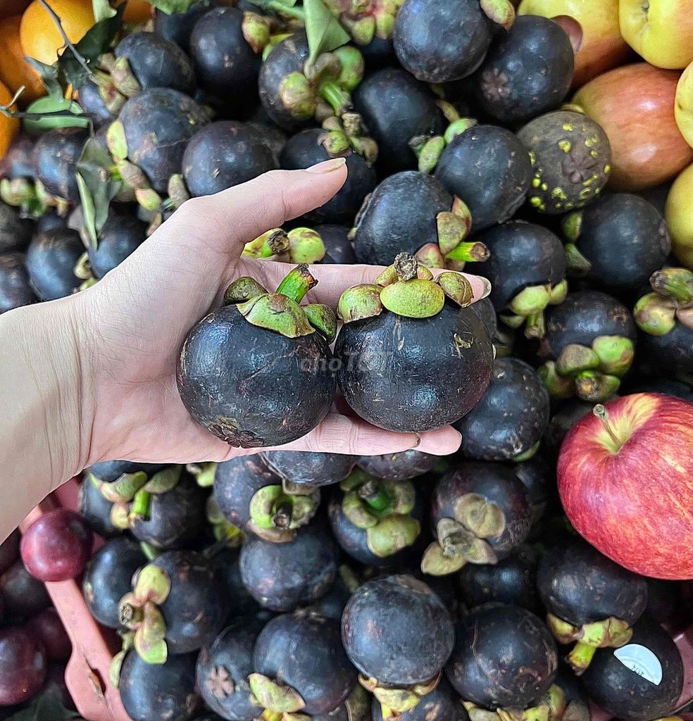 Măng cụt Lái Thiêu. Mua bán Đồ ăn, thực phẩm và các loại khác tại Quận 4 Tp Hồ Chí Minh được đăng bởi Thoa Truong hình 1