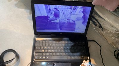 bán laptop hp note book 1000, i3 th2 ram 3 ssd 120