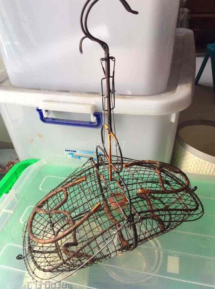 Thanh Lý Lồng Lụp Hút, Ốc Mít Bao Nhạy. Mua bán Phụ kiện, Thức ăn, Dịch vụ tại Huyện Bắc Tân Uyên Bình Dương được đăng bởi Chim và Cá Cảnh Bình Dương hình 1