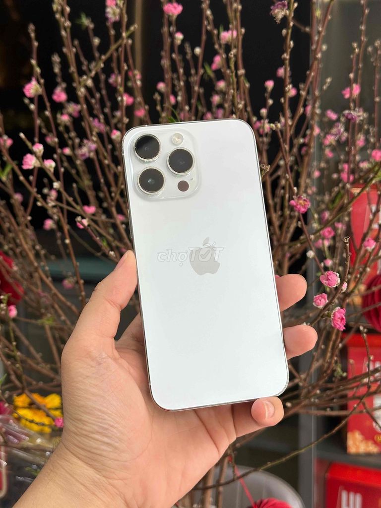 14 Pro Max 1024GB Qte mỹ pin 100 imei 9283838939. Mua bán Điện thoại tại Quận Ninh Kiều Cần Thơ được đăng bởi Quý Mobile Cần thơ hình 1