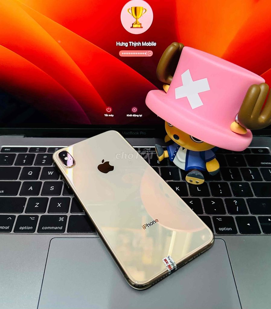 🍎Iphone XSMax 64GB Gold Quốc tế