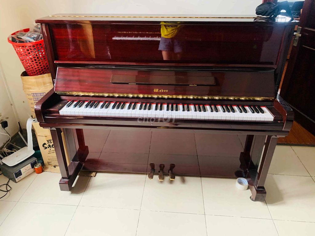 piano cơ  japan zin