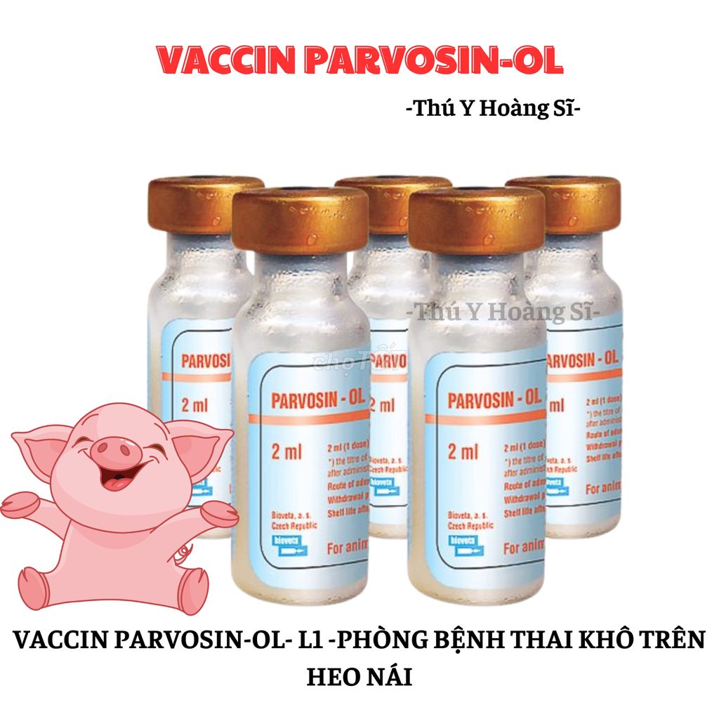 Vaccin Parvosin-OL- L1 Phòng bệnh thai khô cho heo