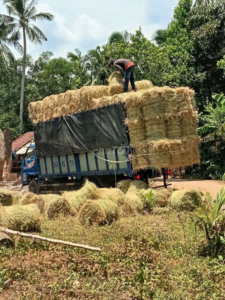 Xe đẹp. Mua bán Xe tải, xe ben tại Huyện Phù Mỹ Bình Định được đăng bởi lê minh thương hình 6