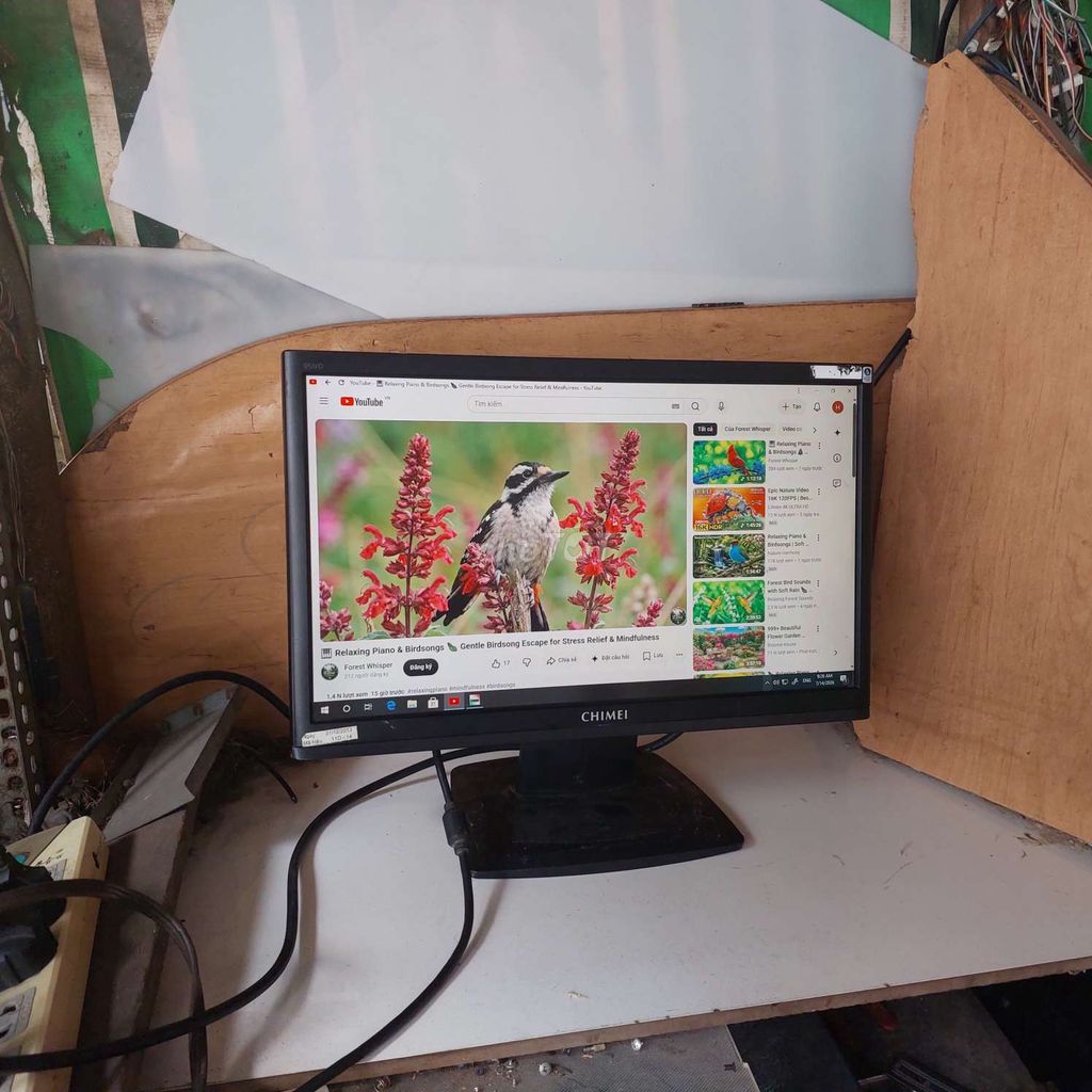 Màn hình ChiMei 19 inch đã qua sử dụng. Mua bán Phụ kiện (Màn hình, Chuột...) tại Quận 11 Tp Hồ Chí Minh được đăng bởi hb computer hình 1