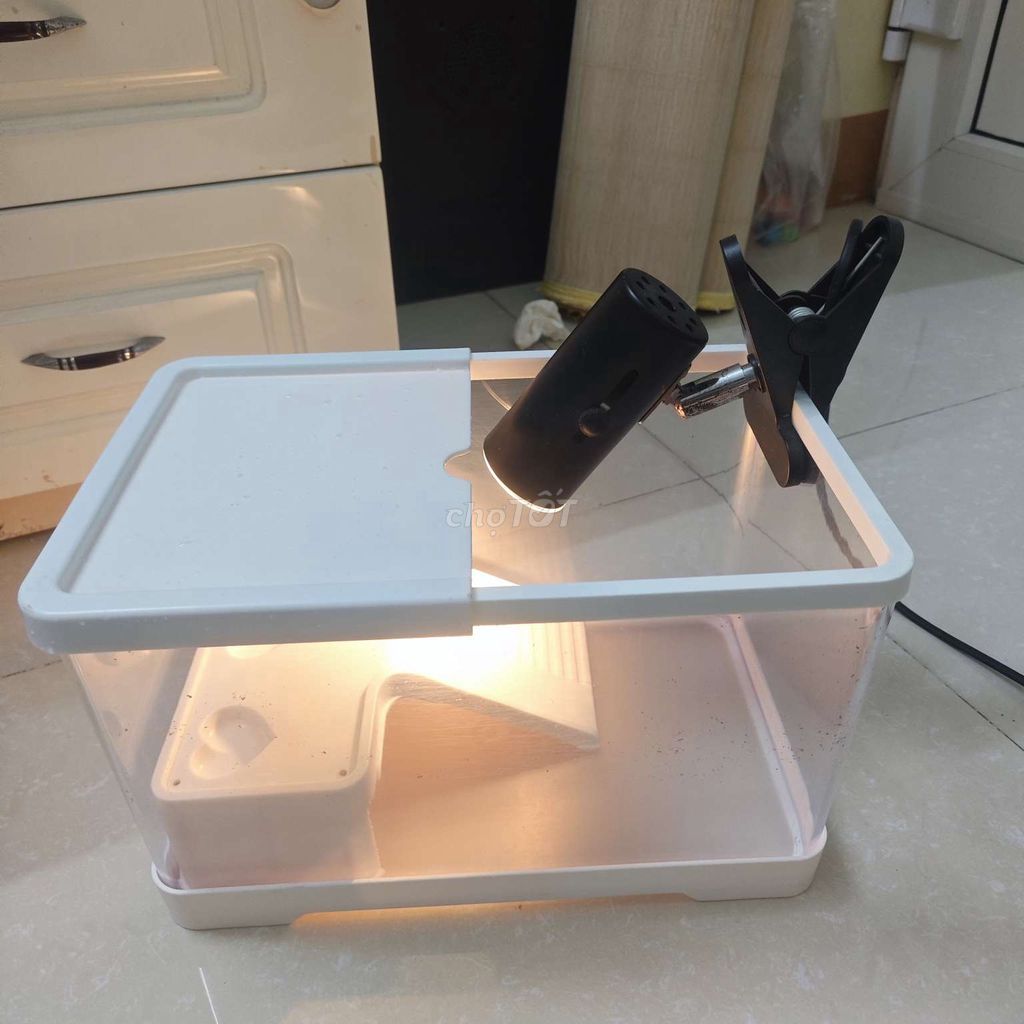 Bể nuôi rùa Mica 30cm kèm đèn sưởi. Mua bán Phụ kiện, Thức ăn, Dịch vụ tại Huyện Thanh Trì Hà Nội được đăng bởi Hạnh Dung hình 1