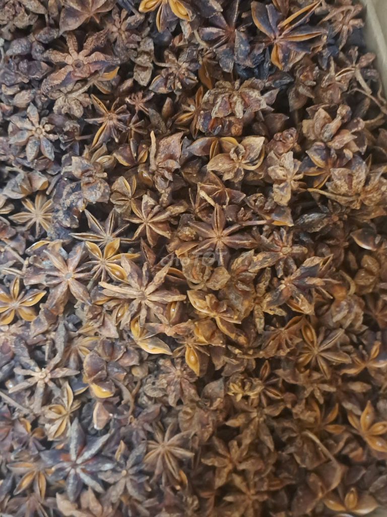 Hoa Hồi Khô Sạch, Cánh Đẹp - Thanh Lý Giá Hạt Dẻ. Mua bán Đồ ăn, thực phẩm và các loại khác tại Thành phố Thuận An Bình Dương được đăng bởi Nguyễn Thanh Tâm hình 1