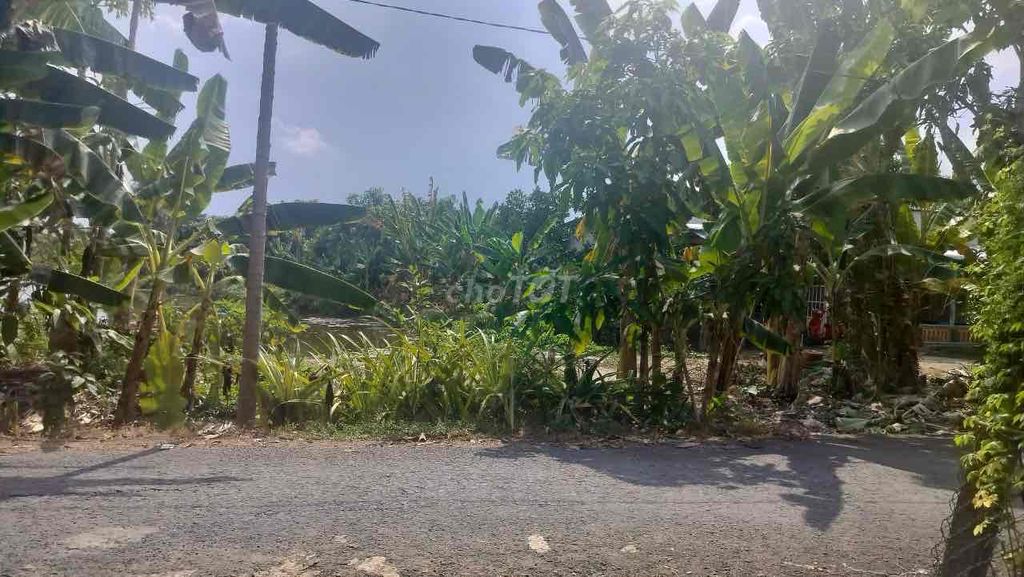 Thanh lý 8808,4m2 (770,3m2 đất ở) giá rẻ tại TT Mỹ Thọ (Ms Dương). Mua bán đất tại Huyện Cao Lãnh Đồng Tháp được đăng bởi Dương Chuyên tài sản Thanh lý Ngân hàng hình 4