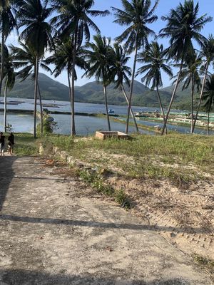 BÁN ĐẤT 186,3 m2 FULL THỔ CƯ VIEW HỒ – XÃ XUÂN HẢI, SÔNG CẦU, PHÚ YÊN. Mua bán đất tại Thị xã Sông Cầu Phú Yên được đăng bởi Rich Nguyễn 