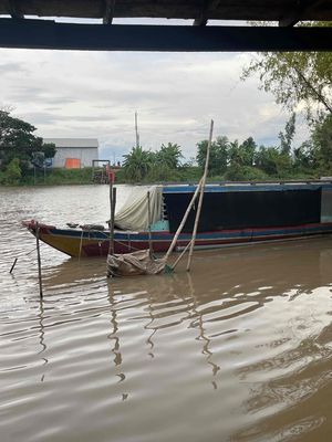 Bán Gấp Ghe Sông Có Mui Che Toàn Bộ ( có fix ). Mua bán Phương tiện khác tại Huyện Tân Hồng Đồng Tháp được đăng bởi Ngọc Thảo