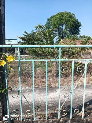 cần bán gấp
