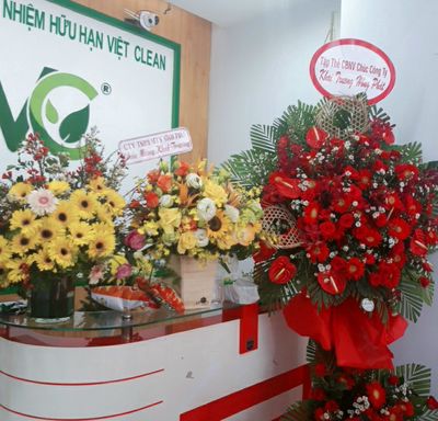 Công ty TNHH Việt Clean