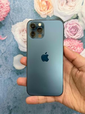 iPhone 12 Pro 256Gb quốc tế 2 sim vật lý BH 6th. Mua bán Điện thoại tại Quận Thanh Khê Đà Nẵng được đăng bởi Bèo Mobile Store