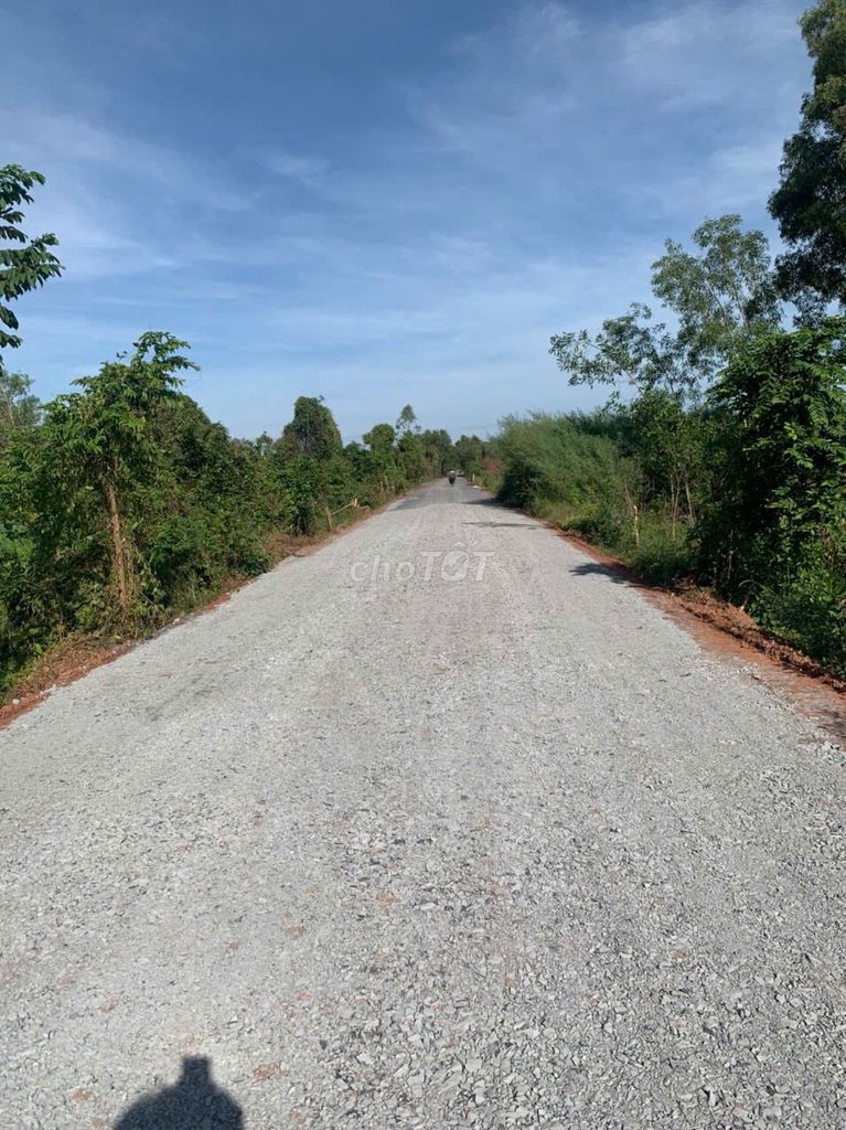 bán đất mặt tiền Tam Tân gần Vinhome HocMon, KCN  Lộc Giang