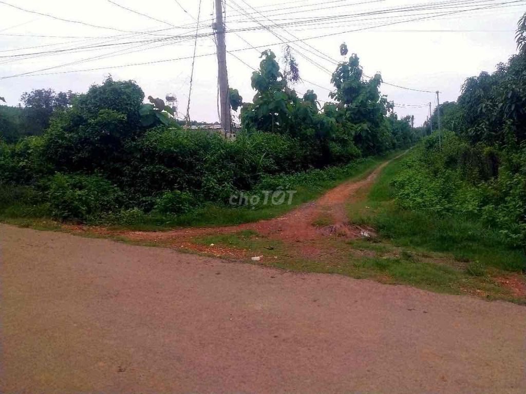 Bán đất trồng cây Định Quán Đồng Nai