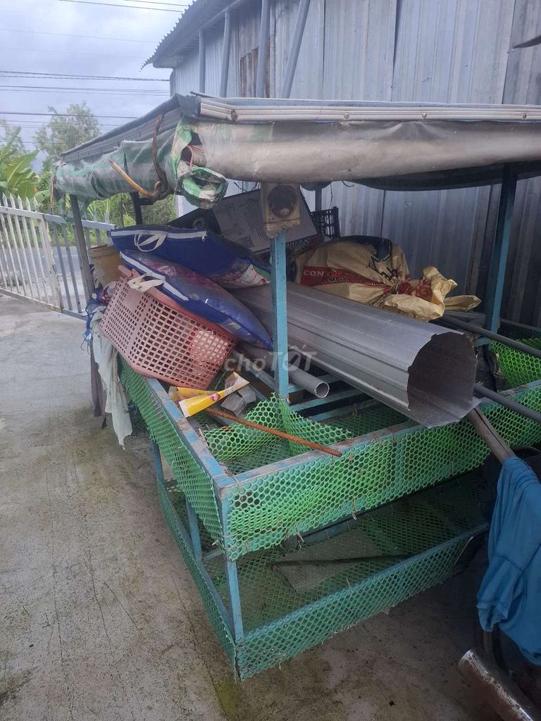 Không sư dung nua