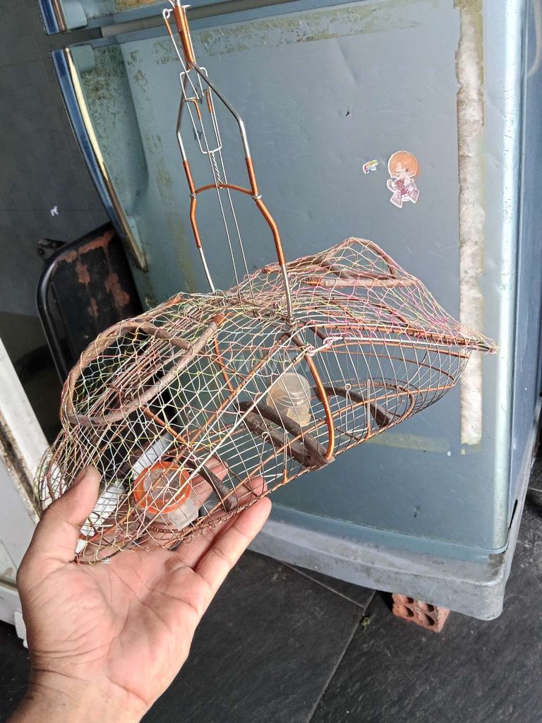 Lụp chim Kim loại Đồng Bẫy chim cảnh. Mua bán Phụ kiện, Thức ăn, Dịch vụ tại Huyện Nhơn Trạch Đồng Nai được đăng bởi Mạch Hằng hình 1