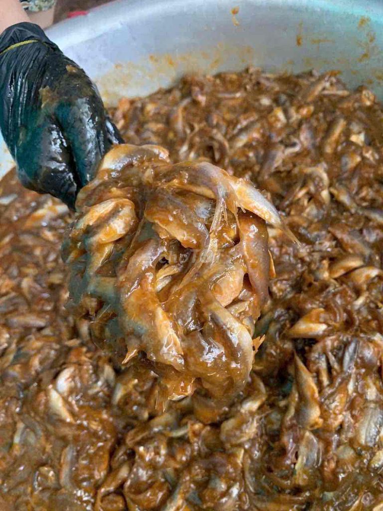 Mắm cá sặc An Giang 500gr. Mua bán Đồ ăn, thực phẩm và các loại khác tại Huyện Hóc Môn Tp Hồ Chí Minh được đăng bởi Hôm Nay Ăn Gì hình 1