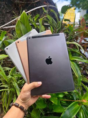 Ipad Gen 7 4G 32Gb bán rẻ hoặc đổi. Mua bán Máy tính bảng tại Quận Hải Châu Đà Nẵng được đăng bởi Nguyễn Hưng