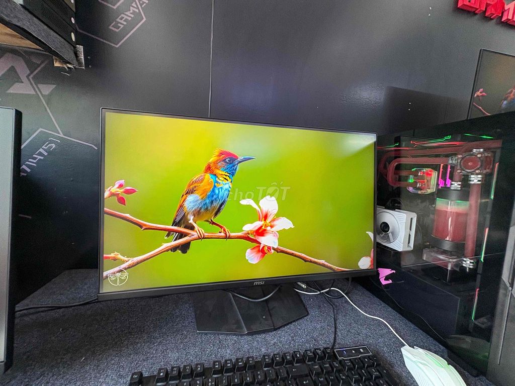 MÀN HÌNH 27IN 4K 144HZ BAO CHIẾN GAME FULL BOX. Mua bán Phụ kiện (Màn hình, Chuột...) tại Quận Gò Vấp Tp Hồ Chí Minh được đăng bởi ngọc trang hình 1