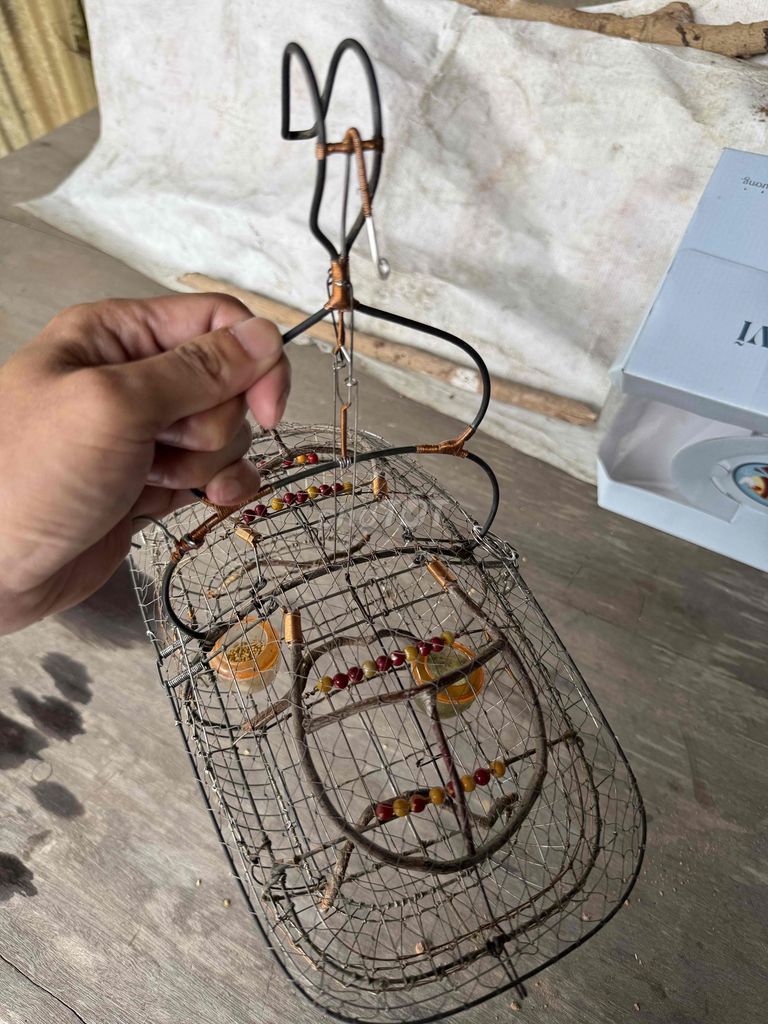 cần bán lụp chim 5 màu như hình. Mua bán Phụ kiện, Thức ăn, Dịch vụ tại Huyện Phú Giáo Bình Dương được đăng bởi Thiên đại hình 1