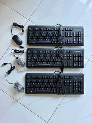 Bộ phím và chuột máy tính