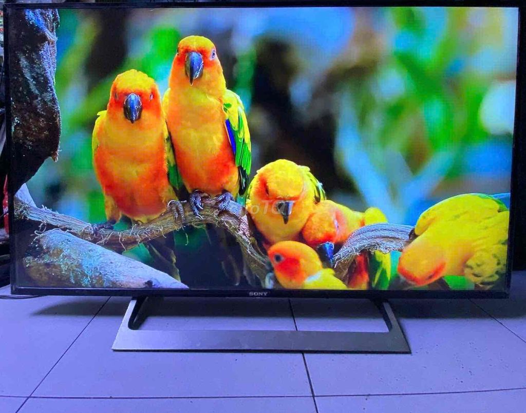 Smart TV 43in Sony wifi Internet đẹp long lanh.