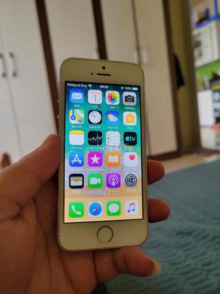 Apple iPhone 5s 16GB Trắng VN/A. Mua bán Điện thoại tại Huyện Thanh Trì Hà Nội được đăng bởi Trần Tùng hình 1