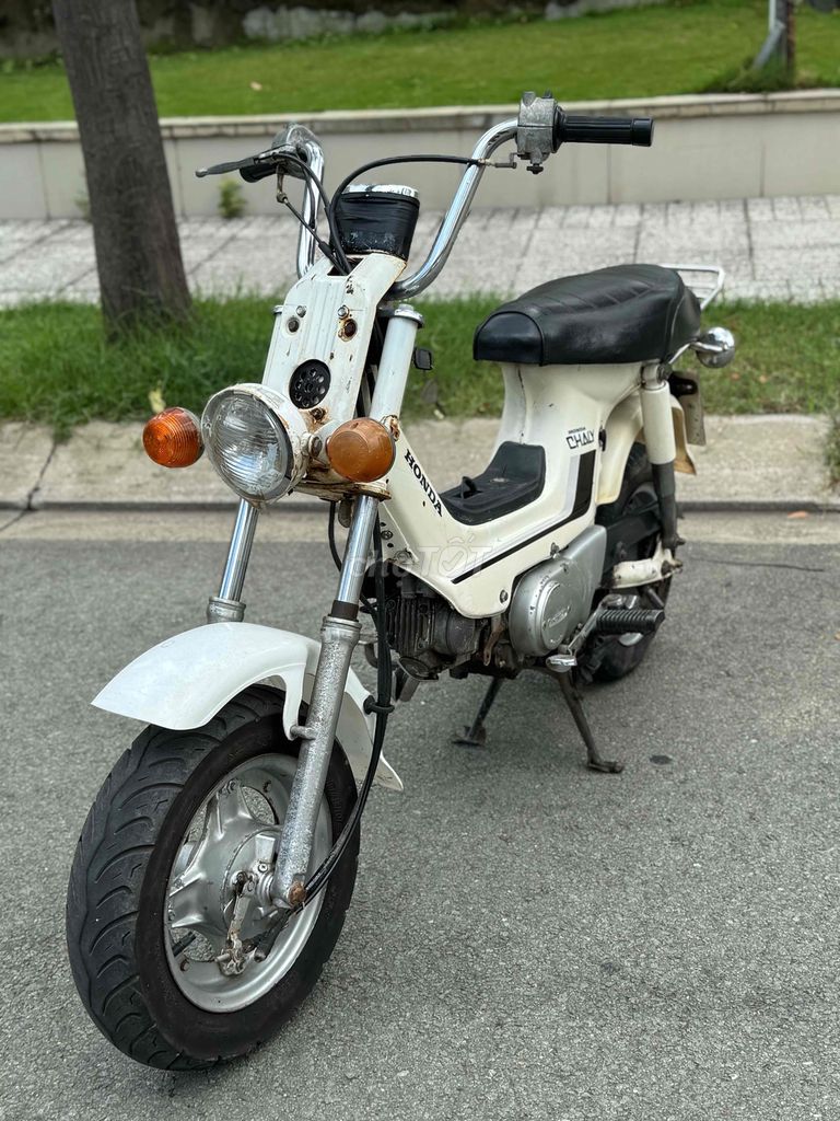 💥💥 HONDA Chaly 50cc Xe Nhật Đành cho Học Sinh. Mua bán Xe máy tại Quận 7 Tp Hồ Chí Minh được đăng bởi Cửa Hàng Xe Máy Hoàng Hưng Q7 hình 1