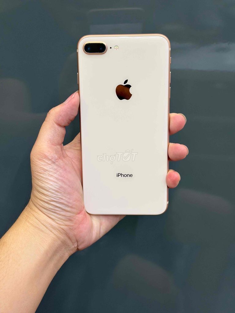 iPhone 8 Plus 64GB Vàng 99% VN Pin 100 nguyên zin. Mua bán Điện thoại tại Quận Ninh Kiều Cần Thơ được đăng bởi Quý Mobile Cần thơ hình 1