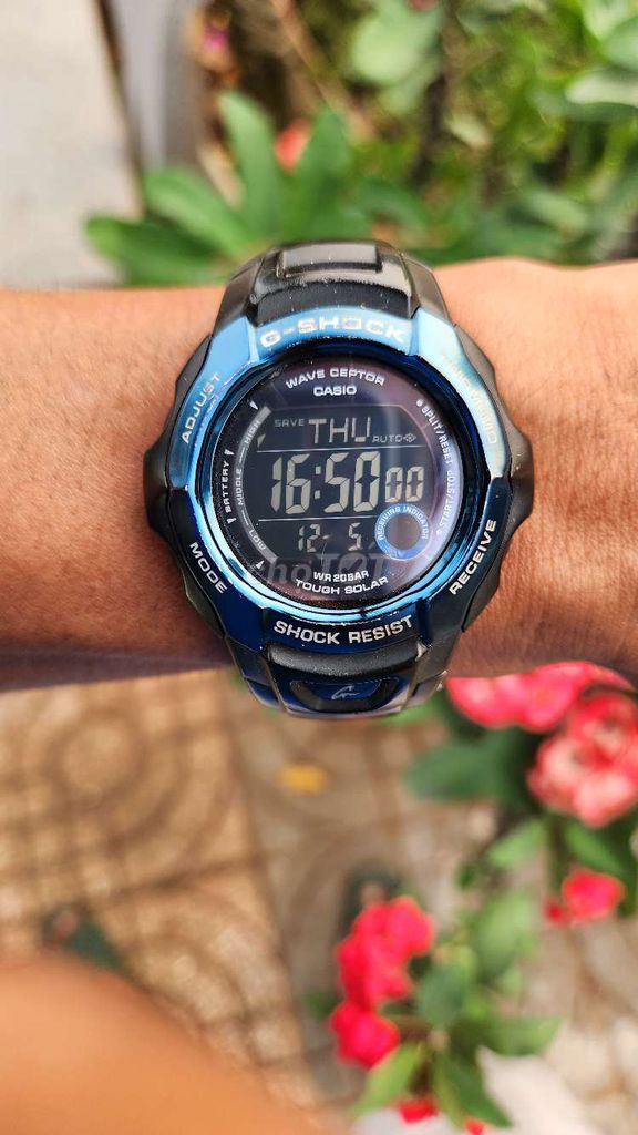 đồng hồ casio