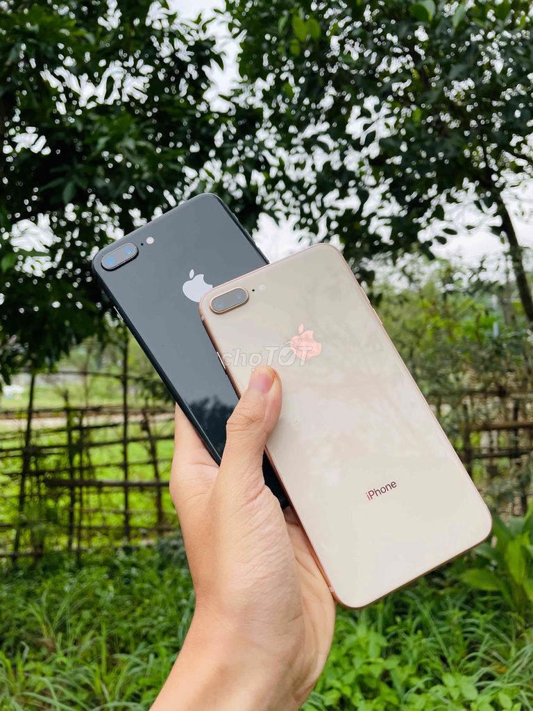 Nay Sale Nốt Vài Cây iPhone 8 Plus 64GB