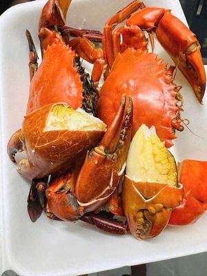 Cua Cà Mau. Mua bán Đồ ăn, thực phẩm và các loại khác tại Huyện Trảng Bom Đồng Nai được đăng bởi Nguyễn Quốc Huy