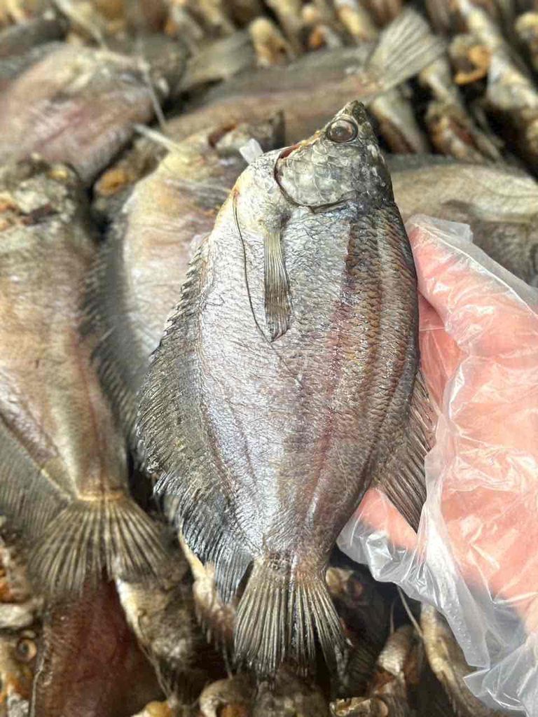Khô cá Sặc Bổi Lạt 3 nắng 1kg. Mua bán Đồ ăn, thực phẩm và các loại khác tại undefined Tp Hồ Chí Minh được đăng bởi Nhỏ Cá Khô hình 1