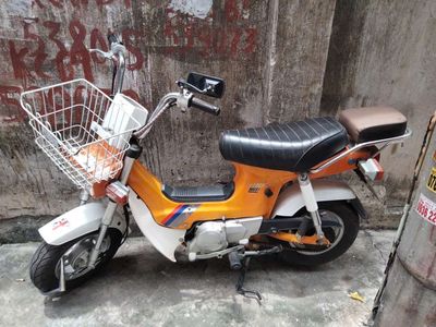 Honda Chaly 50cc Vàng Việt Thái