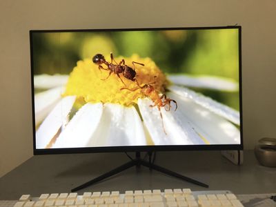 Màn hình PC 24inch IPS 75Hz hàng mới 100% lỗi nhẹ. Mua bán Phụ kiện (Màn hình, Chuột...) tại Huyện Thanh Trì Hà Nội được đăng bởi VĂN THẮNG TẠ
