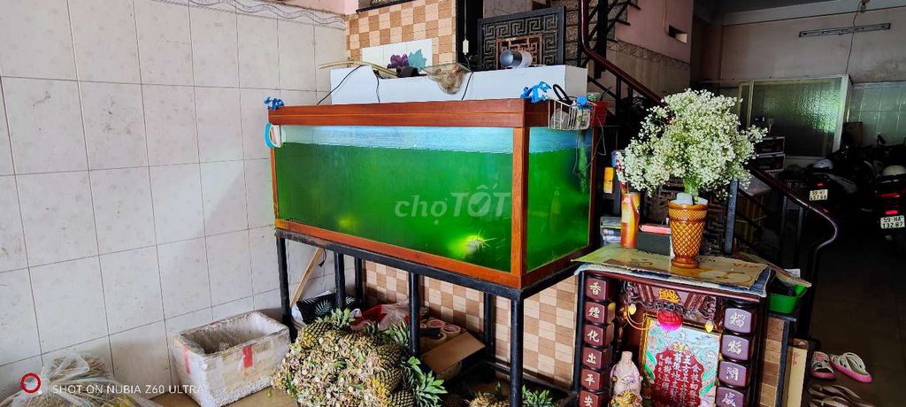 Hồ cá cảnh Kính Gỗ Kim loại 168cm. Mua bán Phụ kiện, Thức ăn, Dịch vụ tại Quận 5 Tp Hồ Chí Minh được đăng bởi Vinh hình 1