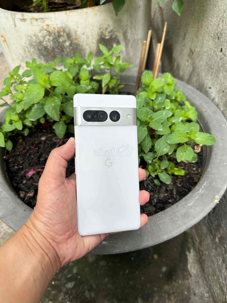 Google Pixel 7 Pro 128GB Trắng vân tay face nhạy. Mua bán Điện thoại tại Quận Gò Vấp Tp Hồ Chí Minh được đăng bởi Sóc hình 1