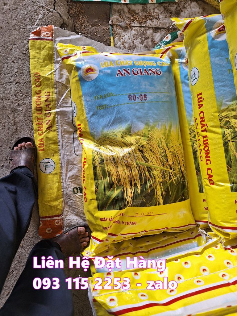Bao lúa giống 40kg có lồng sẵn nilong