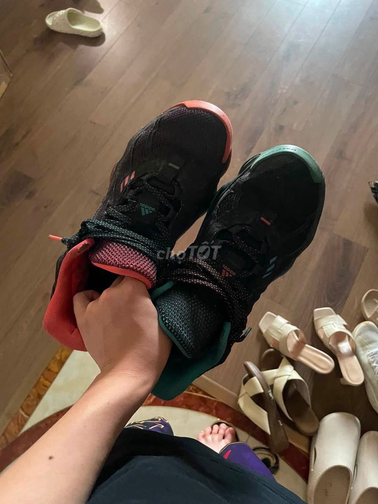 Giày bóng rổ Adidas Dame 7 Nam size 40. Mua bán Giày dép tại Quận Nam Từ Liêm Hà Nội được đăng bởi Gia Khanhh hình 1
