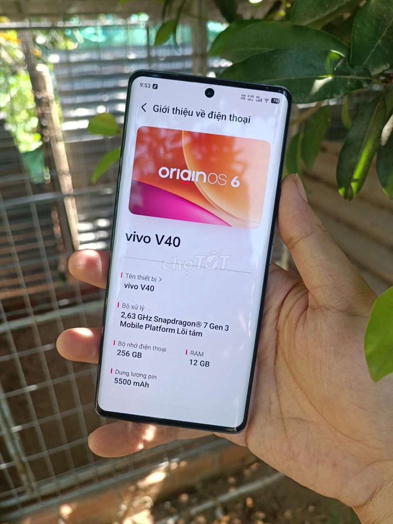 Vivo v40 5G 12/256. Mua bán Điện thoại tại Huyện Gò Công Tây Tiền Giang được đăng bởi Tuấn Trung hình 1